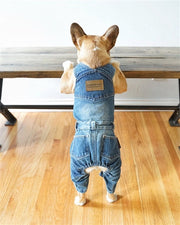 Parisian Pet 'Denim Overalls' – Durable and Trendy Pet Overalls for Dogs & Cats-Blue