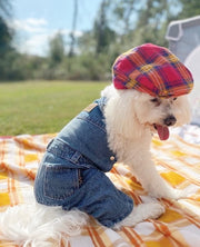 Parisian Pet 'Denim Overalls' – Durable and Trendy Pet Overalls for Dogs & Cats-Blue