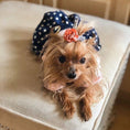 Load image into Gallery viewer, Parisian Pet 'Nautical Dress' for Dogs and Cats, Sleeveless Designer Beach Dress, Comfortable Pet Clothing, Pink & Navy
