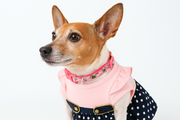 Parisian Pet 'Nautical Dress' for Dogs and Cats, Sleeveless Designer Beach Dress, Comfortable Pet Clothing, Pink & Navy
