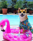 Load image into Gallery viewer, Parisian Pet 'Hawaiian Camp' Dog & Cat Shirt – Lightweight Cotton, Stylish Vacation Pet Apparel – Blue
