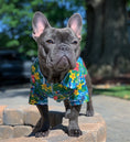 Load image into Gallery viewer, Parisian Pet 'Hawaiian Camp' Dog & Cat Shirt – Lightweight Cotton, Stylish Vacation Pet Apparel – Blue
