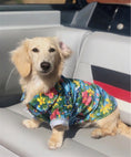 Load image into Gallery viewer, Parisian Pet 'Hawaiian Camp' Dog & Cat Shirt – Lightweight Cotton, Stylish Vacation Pet Apparel – Blue

