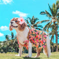 Load image into Gallery viewer, Parisian Pet 'Hawaiian Dress' Dog & Cat Shirt – Island-Themed Vacation Pet Apparel – Orange
