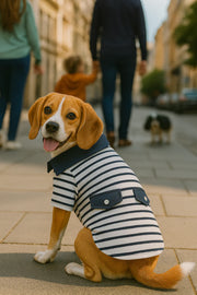 Parisian Pet 'Preppy Boy Polo' Dog & Cat T-Shirt – Trendy Cotton Polo Shirt, Comfortable & Lightweight, Blue White Stripes-Valentine's Day