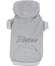 Parisian Pet 'Blessed Hoodie' in Gray - Trendy Pet Hoodie for Dogs & Cats, Perfect for Fall & Winter