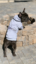 Load image into Gallery viewer, Parisian Pet 'Blessed Hoodie' in Gray - Trendy Pet Hoodie for Dogs & Cats, Perfect for Fall & Winter
