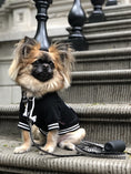 Load image into Gallery viewer, Parisian Pet 'Bestie Hoodie' in Black - Trendy Pet Hoodie for Dogs & Cats, Perfect for Fall & Winter-Valentine's Day
