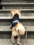Load image into Gallery viewer, Parisian Pet 'Bestie Hoodie' in Black - Trendy Pet Hoodie for Dogs & Cats, Perfect for Fall & Winter-Valentine's Day
