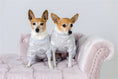 Load image into Gallery viewer, Parisian Pet 'Grey Sheep' Pajama for Dogs & Cats, Designer Pet Sleepwear, Cozy Dog Pajama Set, Grey
