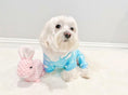 Load image into Gallery viewer, Parisian Pet 'Blue Cloud' Pajama for Dogs & Cats, Comfortable Pet Pajama Set, Cozy Dog Pajamas, Blue

