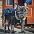 Load image into Gallery viewer, Parisian Pet 'Scottish Jacket' for Dogs & Cats, Designer Pet Jacket, Holiday & Christmas Wear-Saint Patrick's Day
