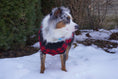 Load image into Gallery viewer, Parisian Pet 'Buffalo Checkered Sweater - Polar Bear' for Dogs and Cats - Cozy Winter Wear with Adorable Polar Bear Design Red and Black
