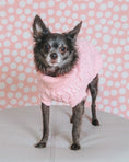 Load image into Gallery viewer, Parisian Pet 'Cable Knit Sweater' - Warm & Stylish Pet Sweater in Blush Pink for Dogs & Cats-Valentine's Day-Valentine's Day
