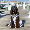 Load image into Gallery viewer, Parisian Pet 'Sailor Dress' Dog & Cat Shirt – Nautical Pet Apparel, Stylish & Comfortable – White & Blue
