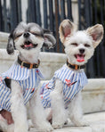 Load image into Gallery viewer, Parisian Pet 'Flamingo Print Dog Dress' for Dogs and Cats, Sleeveless, Comfortable Summer Outfit, Blue and White Stripes
