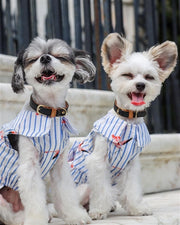 Parisian Pet 'Flamingo Print Dog Dress' for Dogs and Cats, Sleeveless, Comfortable Summer Outfit, Blue and White Stripes