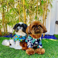 Load image into Gallery viewer, Parisian Pet 'Palm Leaves' Dog & Cat T-Shirt – Trendy Tropical Summer Pet Clothing, Comfortable & Lightweight - Blue & White
