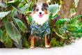 Load image into Gallery viewer, Parisian Pet 'Amazonia' Dog & Cat T-Shirt – Trendy Cotton, Comfortable & Lightweight Summer Pet Apparel - Saint Patrick's Day
