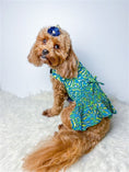 Load image into Gallery viewer, Parisian Pet 'Tribal Dress' for Dogs and Cats, Ruched Waist, Stylish and Comfortable, Tribal Print - Green, Blue, Yellow
