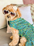 Load image into Gallery viewer, Parisian Pet 'Tribal Dress' for Dogs and Cats, Ruched Waist, Stylish and Comfortable, Tribal Print - Green, Blue, Yellow
