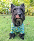 Load image into Gallery viewer, Parisian Pet 'Tribal' Dog & Cat T-Shirt – Lightweight Cotton, Stylish & Comfortable Summer Apparel - Saint Patrick's Day

