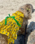 Load image into Gallery viewer, Parisian Pet 'Cactus Tiered Dress' Dog & Cat Shirt – Tropical Summer Outfit – Yellow
