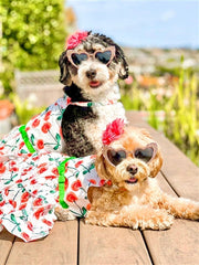 Parisian Pet 'Red Poppies Boho Dress' Dog & Cat T-shirt – Adjustable Floral Pet Dress, Perfect for Summer - Red, White, Green-Valentine's Day