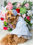 Load image into Gallery viewer, Parisian Pet 'Gingham Countryside Lace Dress' Dog & Cat Shirt – Stylish Blue Plaid Dress – Blue
