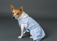 Load image into Gallery viewer, Parisian Pet 'Gingham Countryside Lace Dress' Dog & Cat Shirt – Stylish Blue Plaid Dress – Blue
