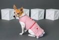 Load image into Gallery viewer, Parisian Pet 'Gingham Countryside Dress' Dog & Cat Shirt – Elegant Country Style Dog Dress –Red- Valentine's Day
