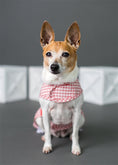Load image into Gallery viewer, Parisian Pet 'Gingham Countryside Dress' Dog & Cat Shirt – Elegant Country Style Dog Dress –Red- Valentine's Day
