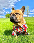 Load image into Gallery viewer, Parisian Pet 'Floral Artsy' Dog & Cat Camp Shirt – Trendy Embroidered Cotton Apparel, Comfortable & Stylish-Valentine's Day

