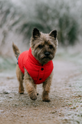 Load image into Gallery viewer, Parisian Pet 'Plaid Reversible Jacket' for Dogs & Cats, Stylish Pet Outerwear, Warm Winter Dog Jacket,-Valentine's Day
