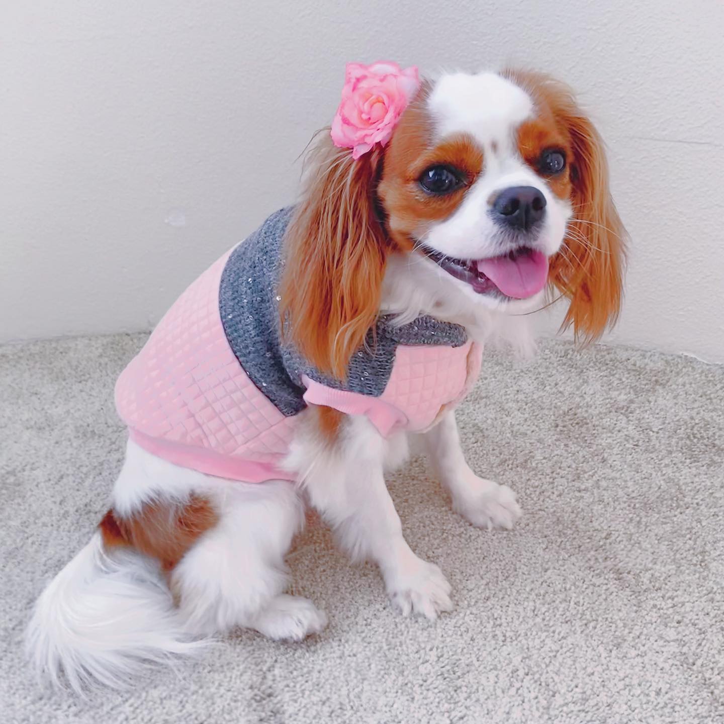 Parisian Pet 'Fancy Flower Quilted Jacket' for Dogs & Cats, Warm Pet Outerwear, Quilted Floral Dog Jacket - Valentine's Day