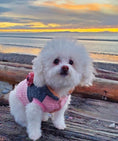 Load image into Gallery viewer, Parisian Pet 'Fancy Flower Quilted Jacket' for Dogs & Cats, Warm Pet Outerwear, Quilted Floral Dog Jacket - Valentine's Day
