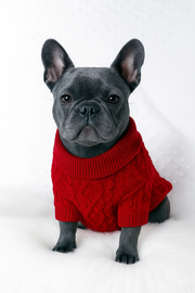Parisian Pet 'Cable Knit Sweater' - Warm & Stylish Pet Sweater in Red for Dogs & Cats-Valentine's Day