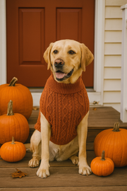 Parisian Pet 'Cable Knit Sweater' - Warm & Stylish Pet Sweater in Terracotta for Dogs & Cats