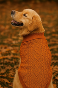 Load image into Gallery viewer, Parisian Pet 'Cable Knit Sweater' - Warm & Stylish Pet Sweater in Terracotta for Dogs & Cats
