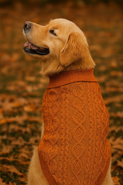 Parisian Pet 'Cable Knit Sweater' - Warm & Stylish Pet Sweater in Terracotta for Dogs & Cats
