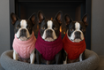 Load image into Gallery viewer, Parisian Pet 'Cable Knit Sweater' - Warm & Stylish Pet Sweater in Raspberry for Dogs & Cats-Valentine's Day
