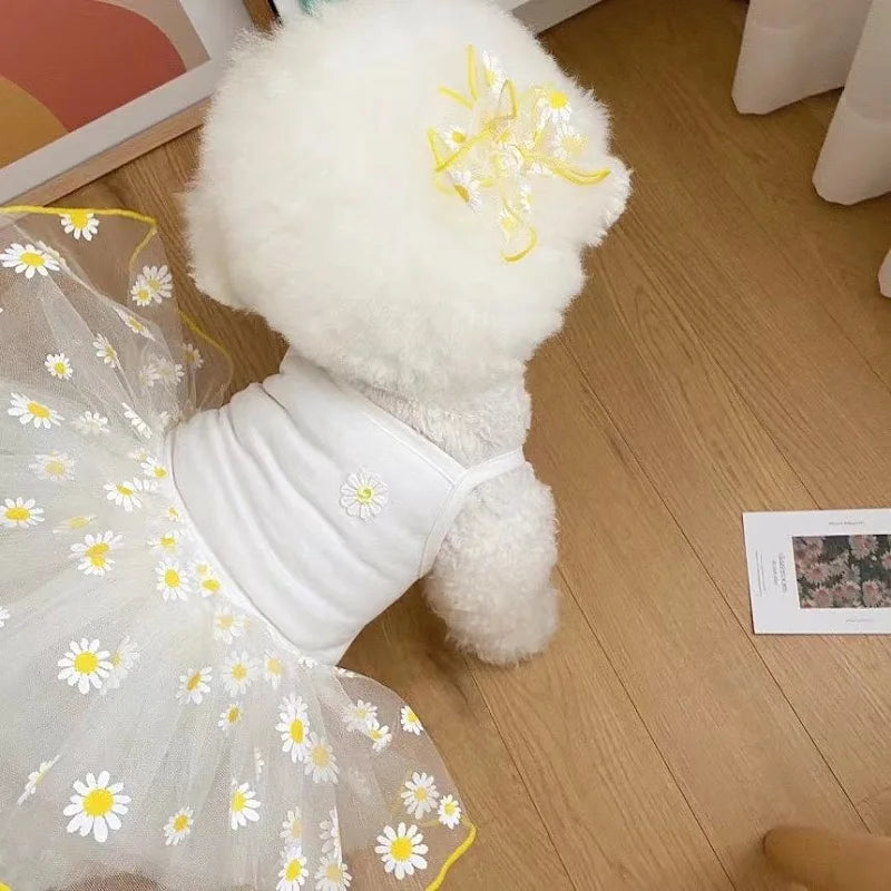 White Daisy Dog Dress