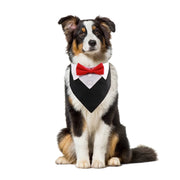 Dog Tuxedo Bow Tie Collar