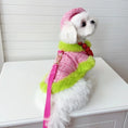 Load image into Gallery viewer, Tres Chic Pink & Lime Tweed Coat, Hat & Leash Set
