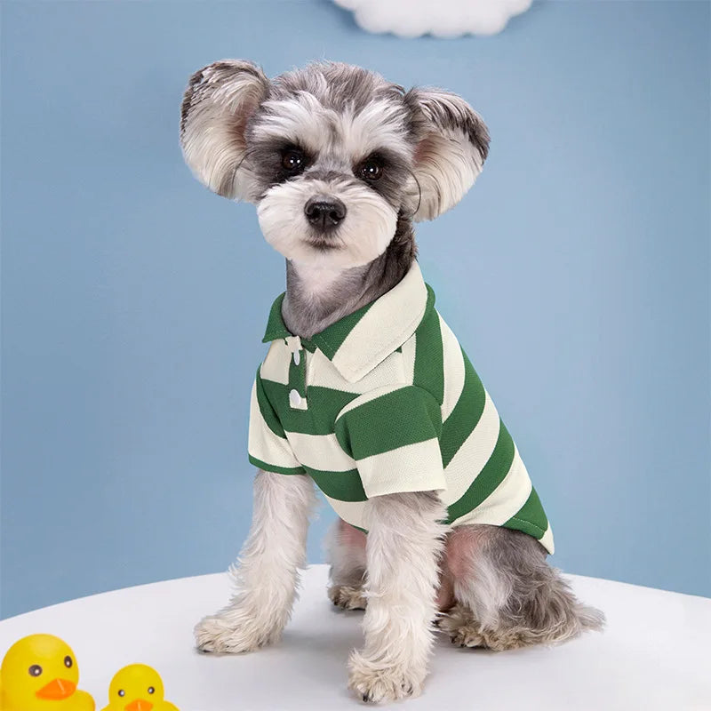 Striped Polo Dog Shirt - Southlake Paws