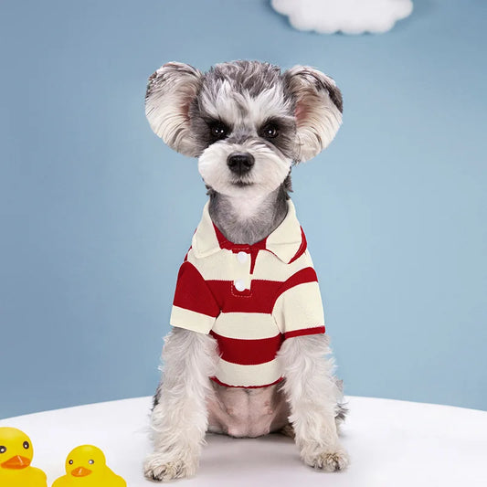 Striped Polo Dog Shirt - Southlake Paws