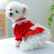 Red Velvet & Lace Holiday Party  Dog Dress