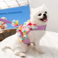 Load image into Gallery viewer, Dainty Flower Dog Harness & Leash Set
