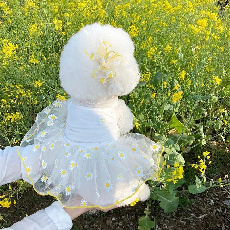 White Daisy Dog Dress