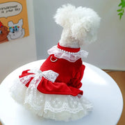Red Velvet & Lace Holiday Party  Dog Dress